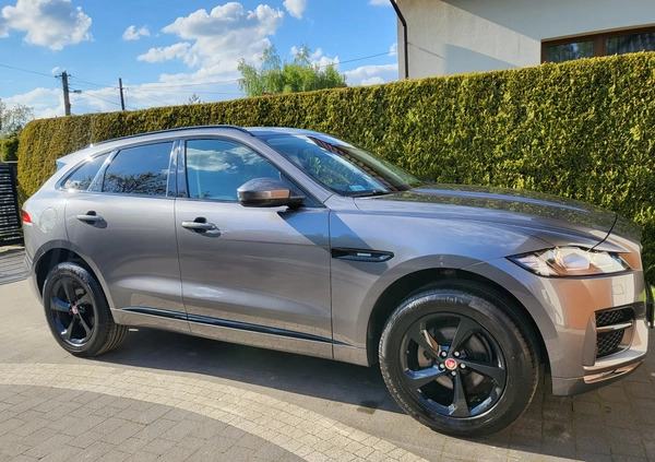 Jaguar F-Pace cena 116990 przebieg: 84000, rok produkcji 2018 z Dynów małe 781